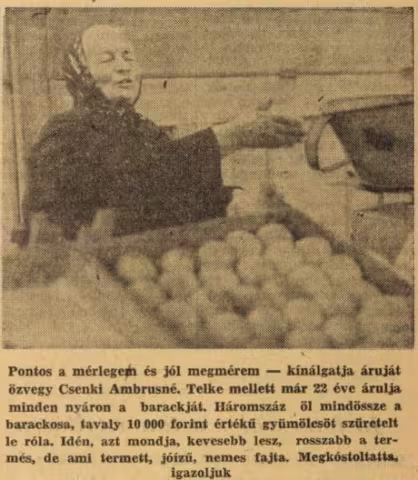 Pest Megyei Hírlap 1962.09.01. (6. évf. 204. sz.) - arcanum.hu