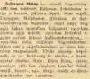 Schwarcz Miksa